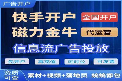 SEM运营公司成功案例解析
